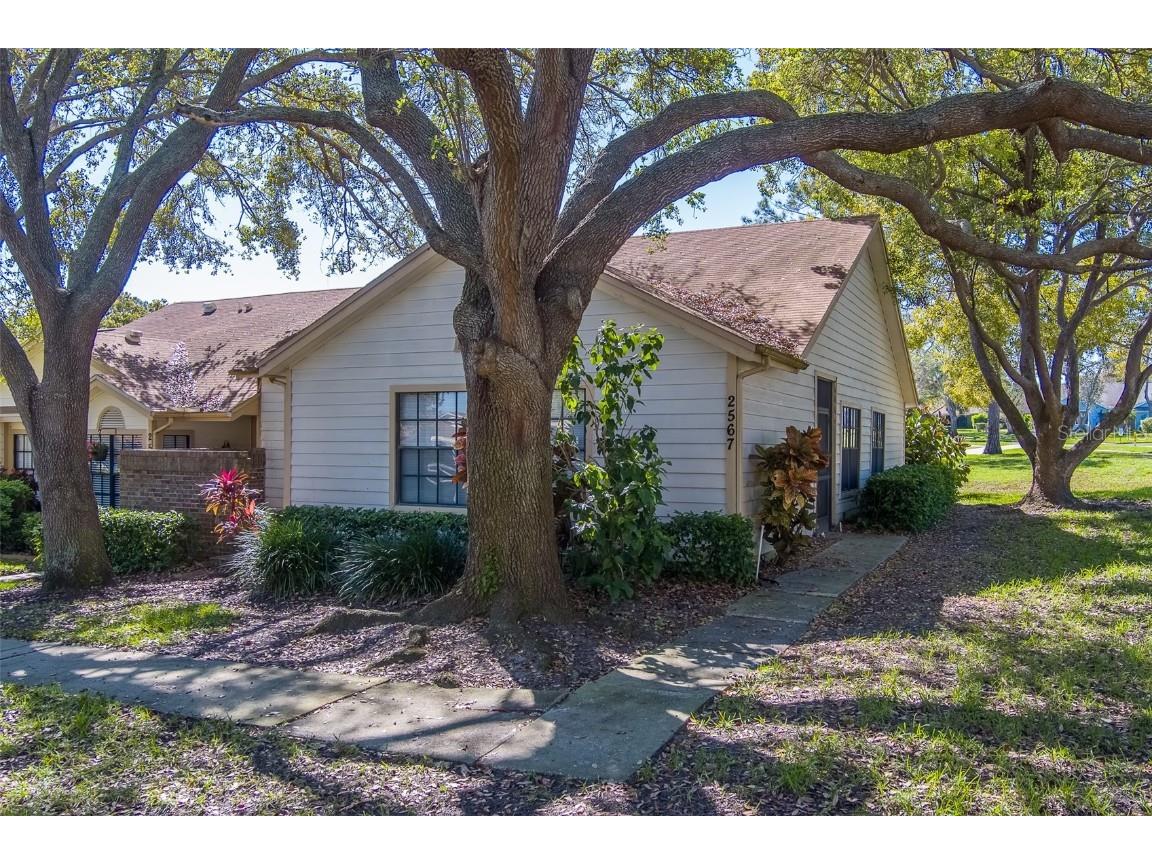 2567 Bentley Drive Palm Harbor FL 34684 TB8399750 image40
