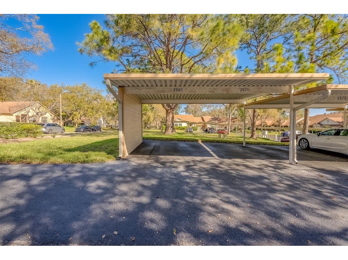 2567 Bentley Drive Palm Harbor FL 34684 TB8399750 image41