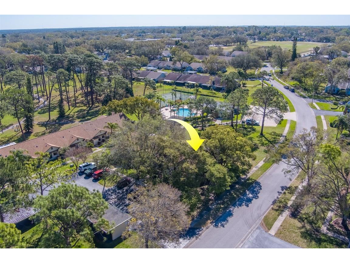 2567 Bentley Drive Palm Harbor FL 34684 TB8399750 image43