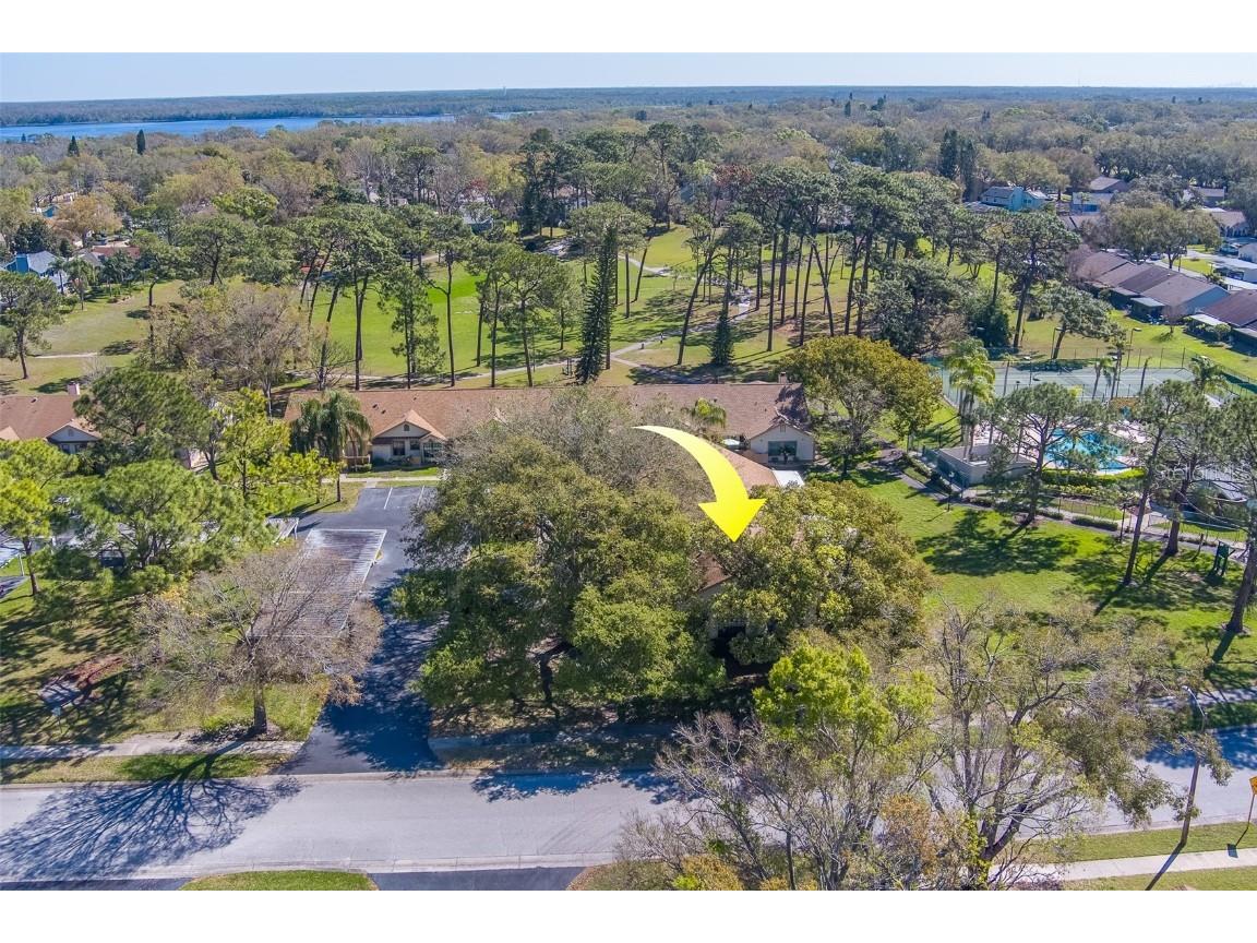 2567 Bentley Drive Palm Harbor FL 34684 TB8399750 image44