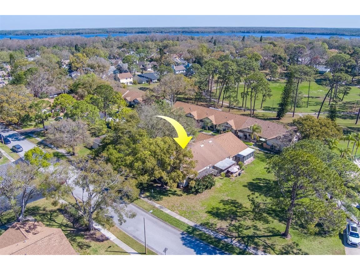 2567 Bentley Drive Palm Harbor FL 34684 TB8399750 image45