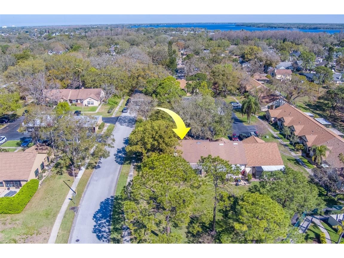 2567 Bentley Drive Palm Harbor FL 34684 TB8399750 image46