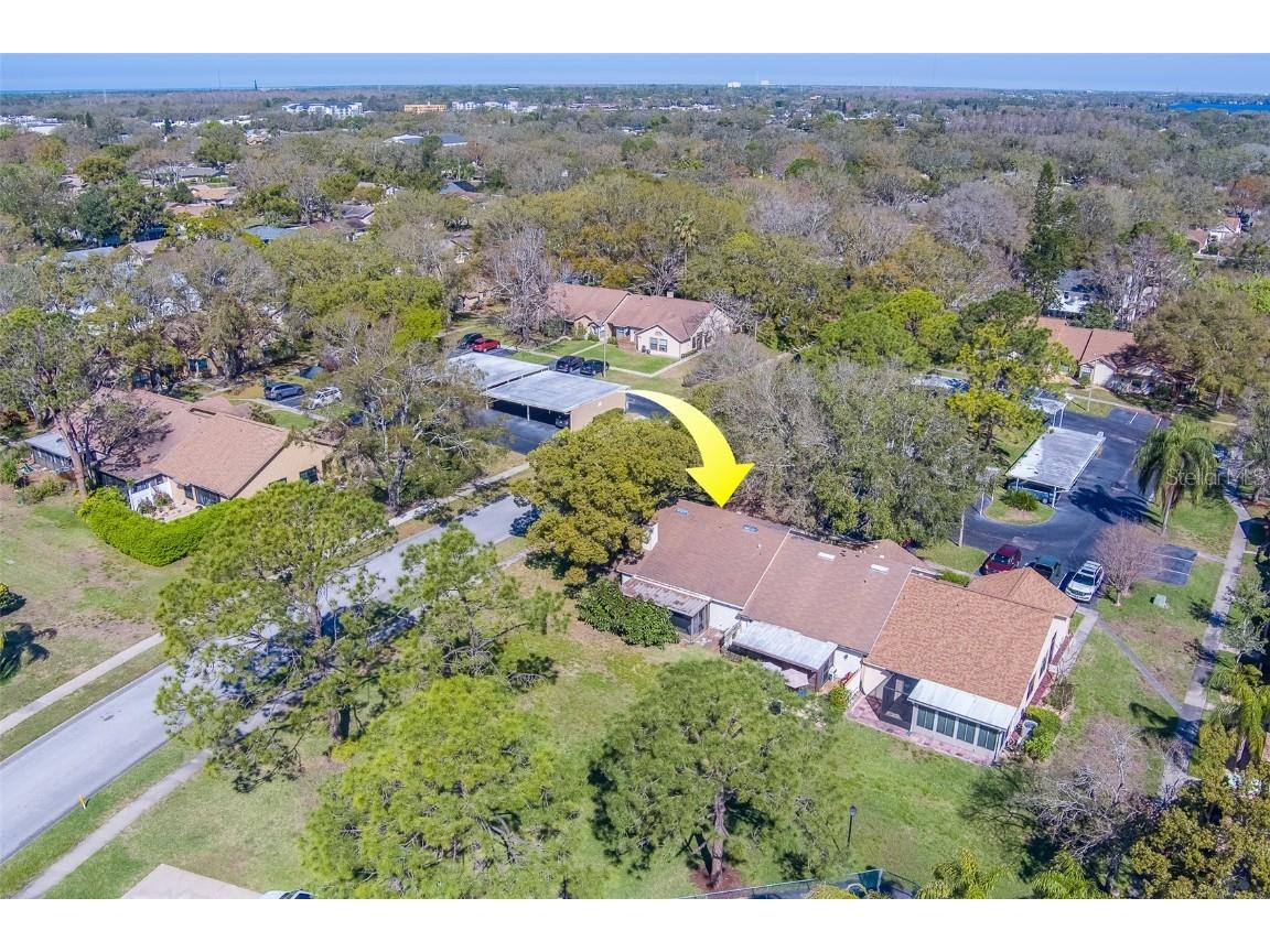 2567 Bentley Drive Palm Harbor FL 34684 TB8399750 image47