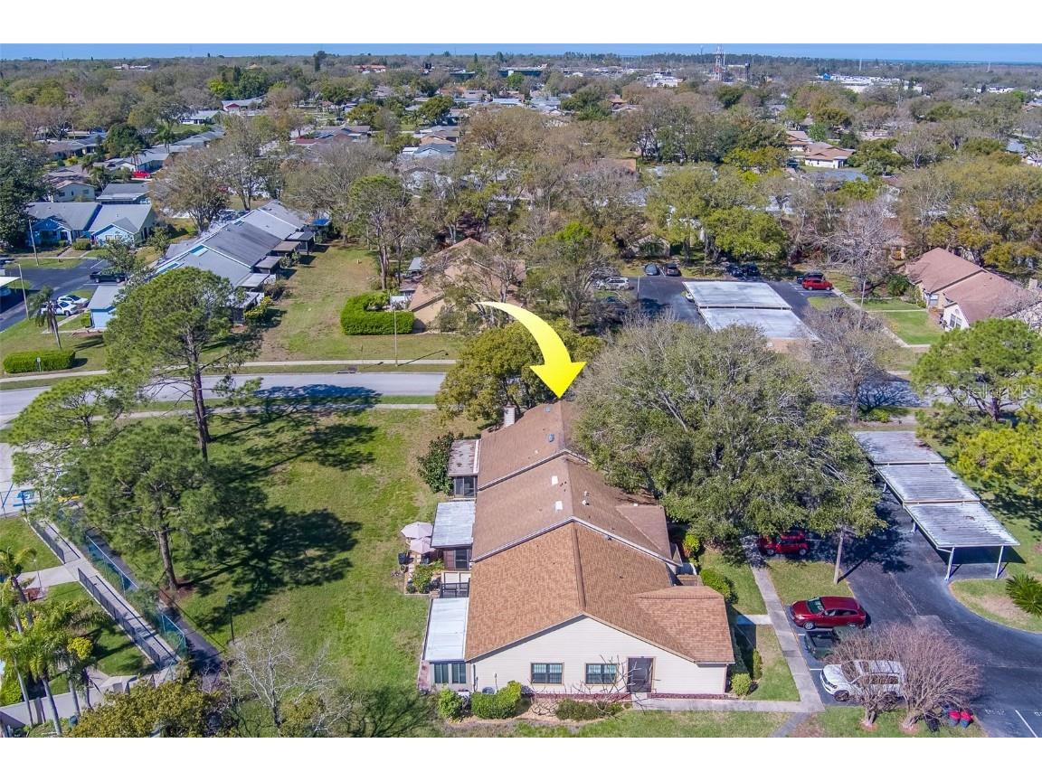 2567 Bentley Drive Palm Harbor FL 34684 TB8399750 image48