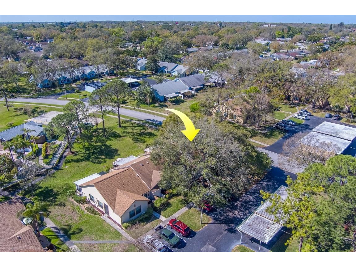 2567 Bentley Drive Palm Harbor FL 34684 TB8399750 image49