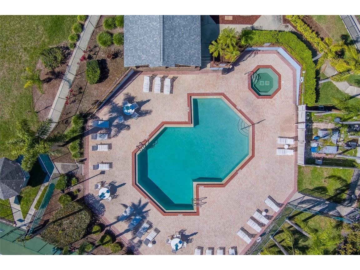 2567 Bentley Drive Palm Harbor FL 34684 TB8399750 image53