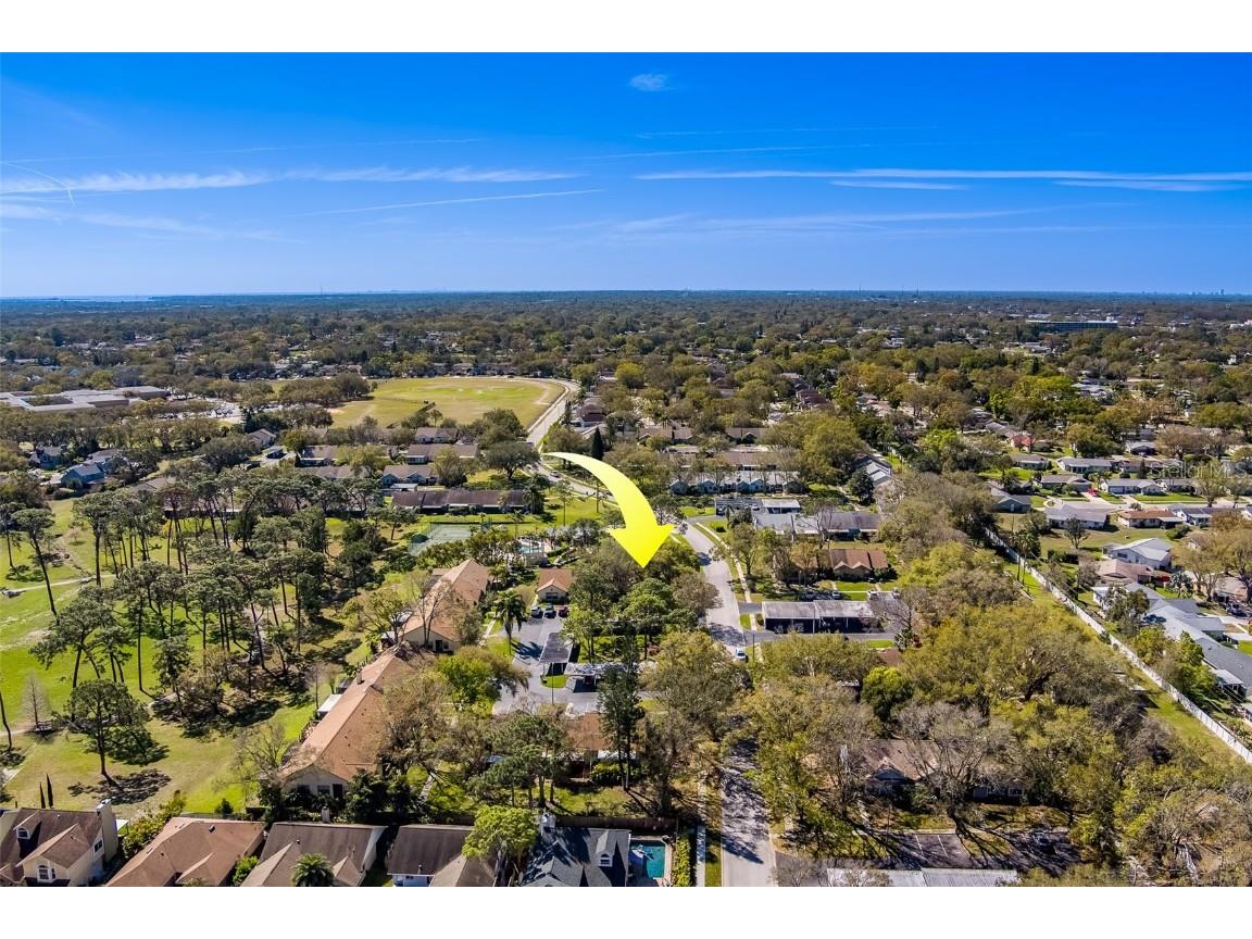 2567 Bentley Drive Palm Harbor FL 34684 TB8399750 image55