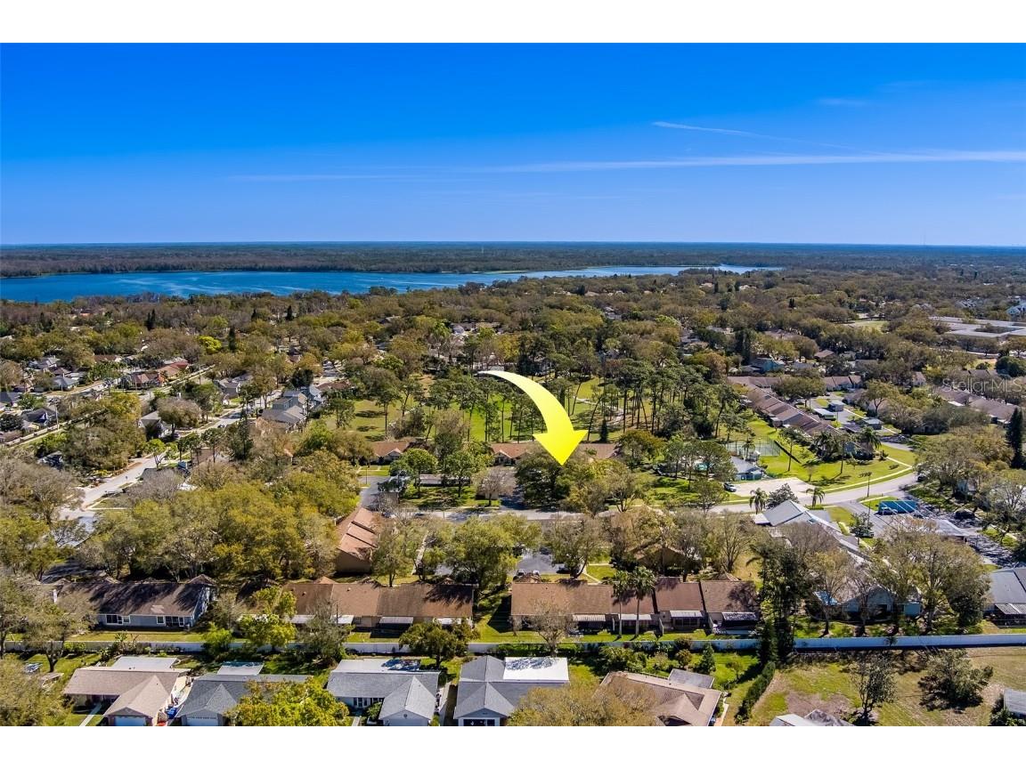 2567 Bentley Drive Palm Harbor FL 34684 TB8399750 image56