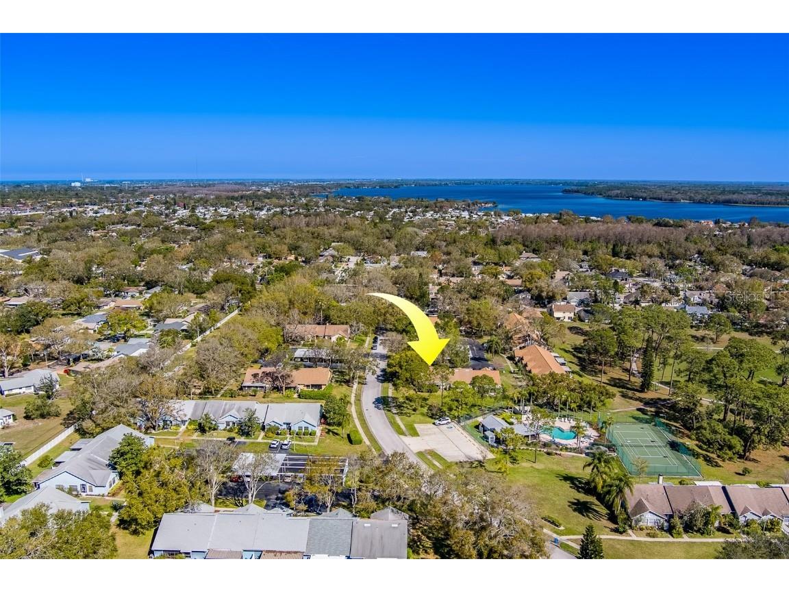 2567 Bentley Drive Palm Harbor FL 34684 TB8399750 image57