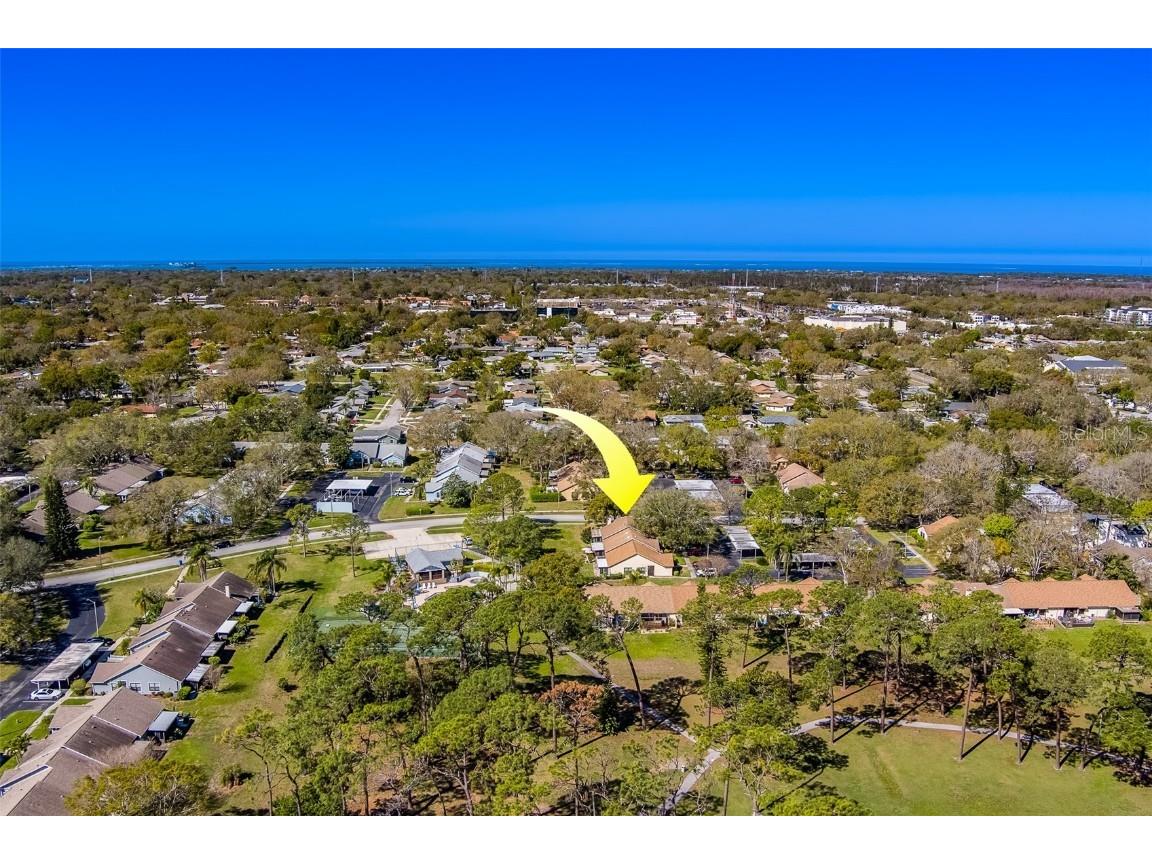 2567 Bentley Drive Palm Harbor FL 34684 TB8399750 image58