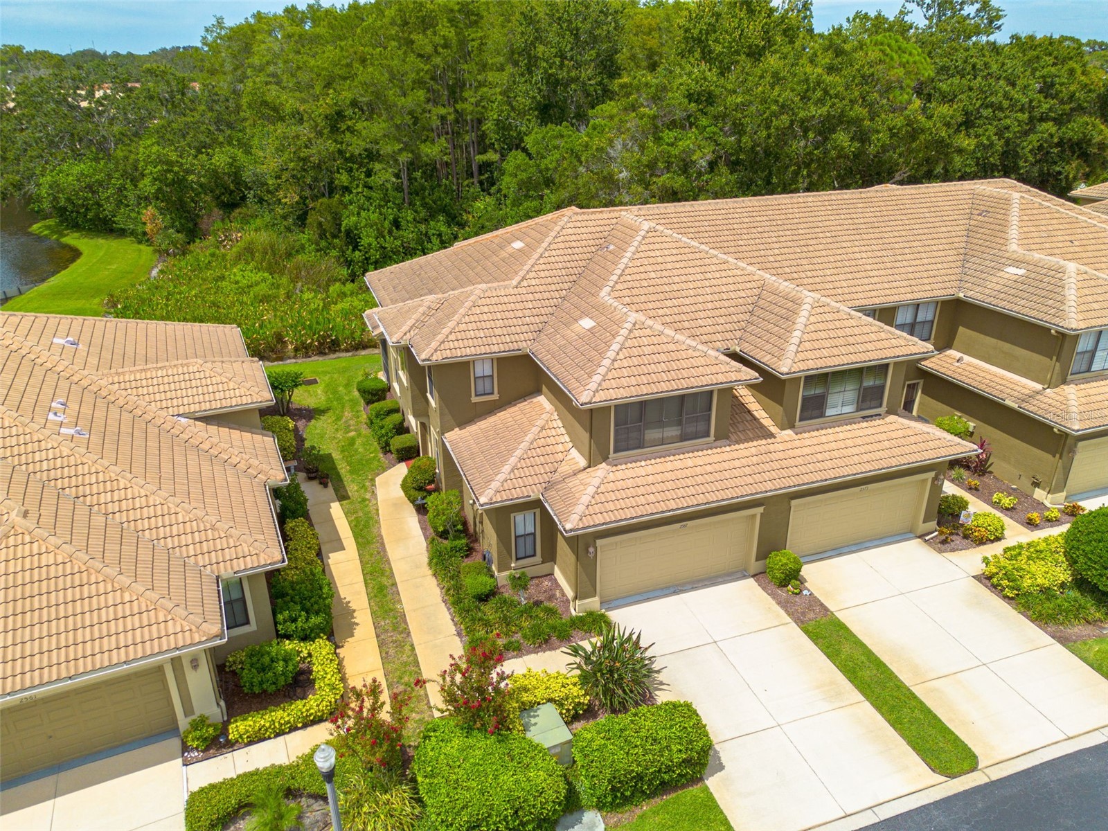 2567 Gloriosa Drive Palm Harbor FL 34684 TB8473040 image1