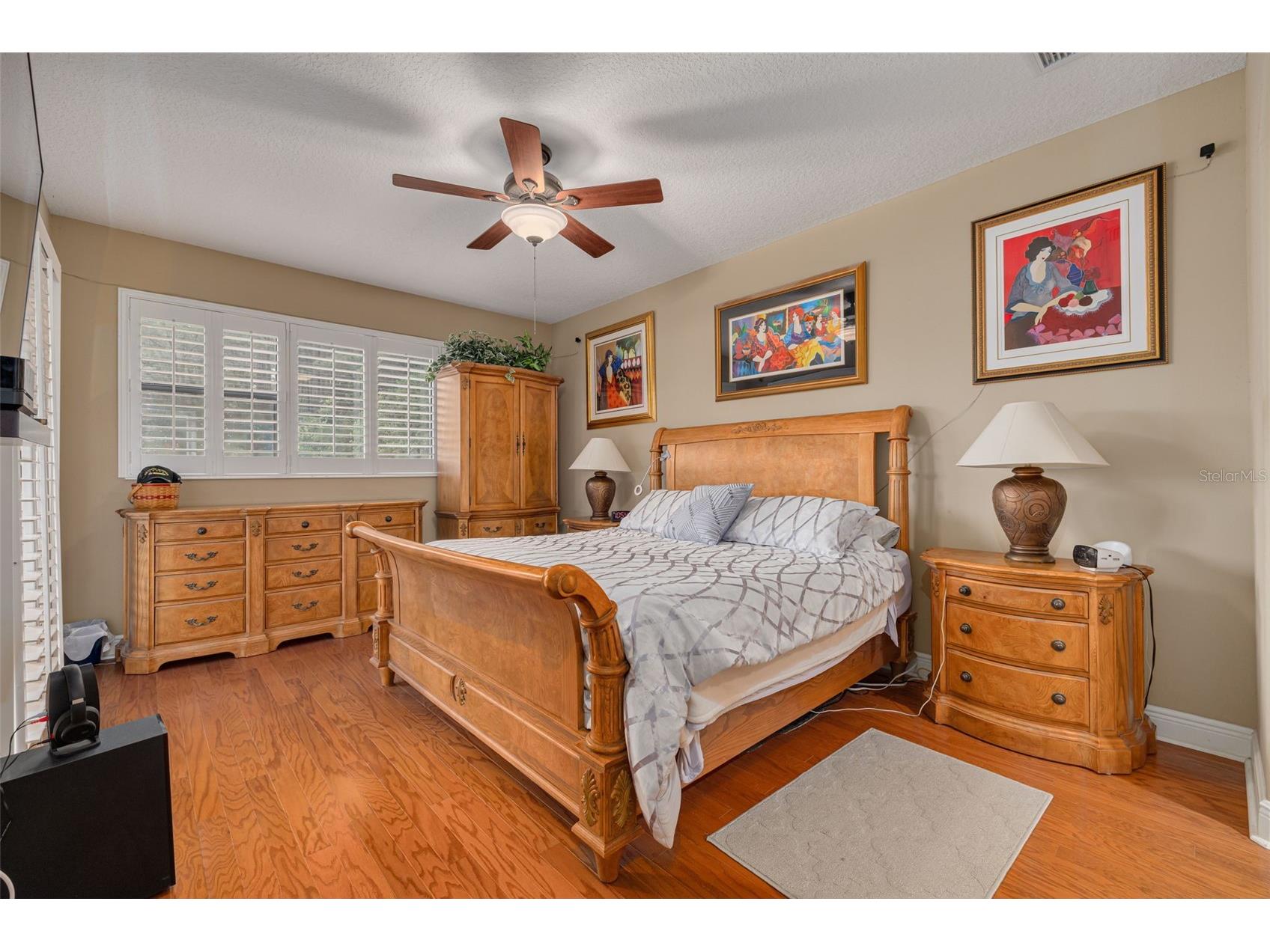 2567 Gloriosa Drive Palm Harbor FL 34684 TB8473040 image16