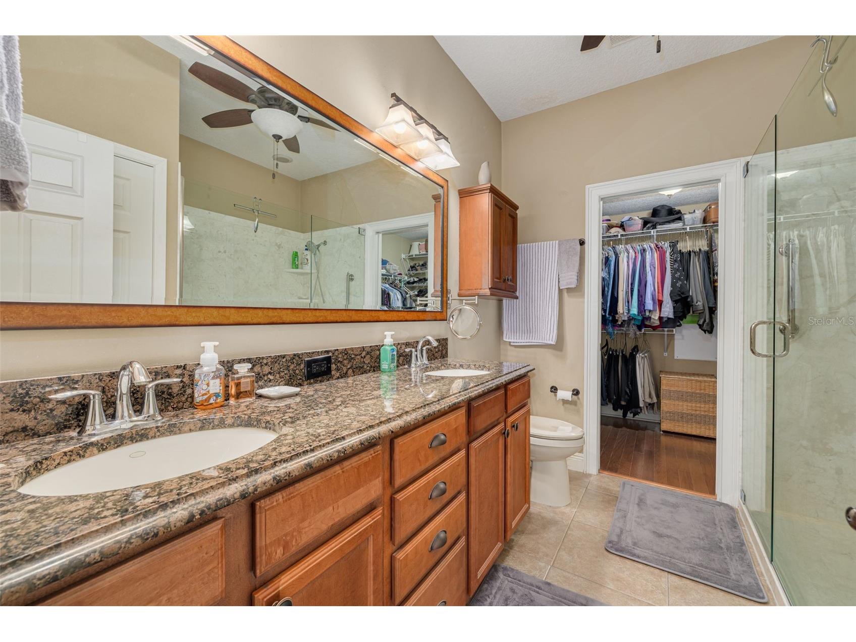 2567 Gloriosa Drive Palm Harbor FL 34684 TB8473040 image19