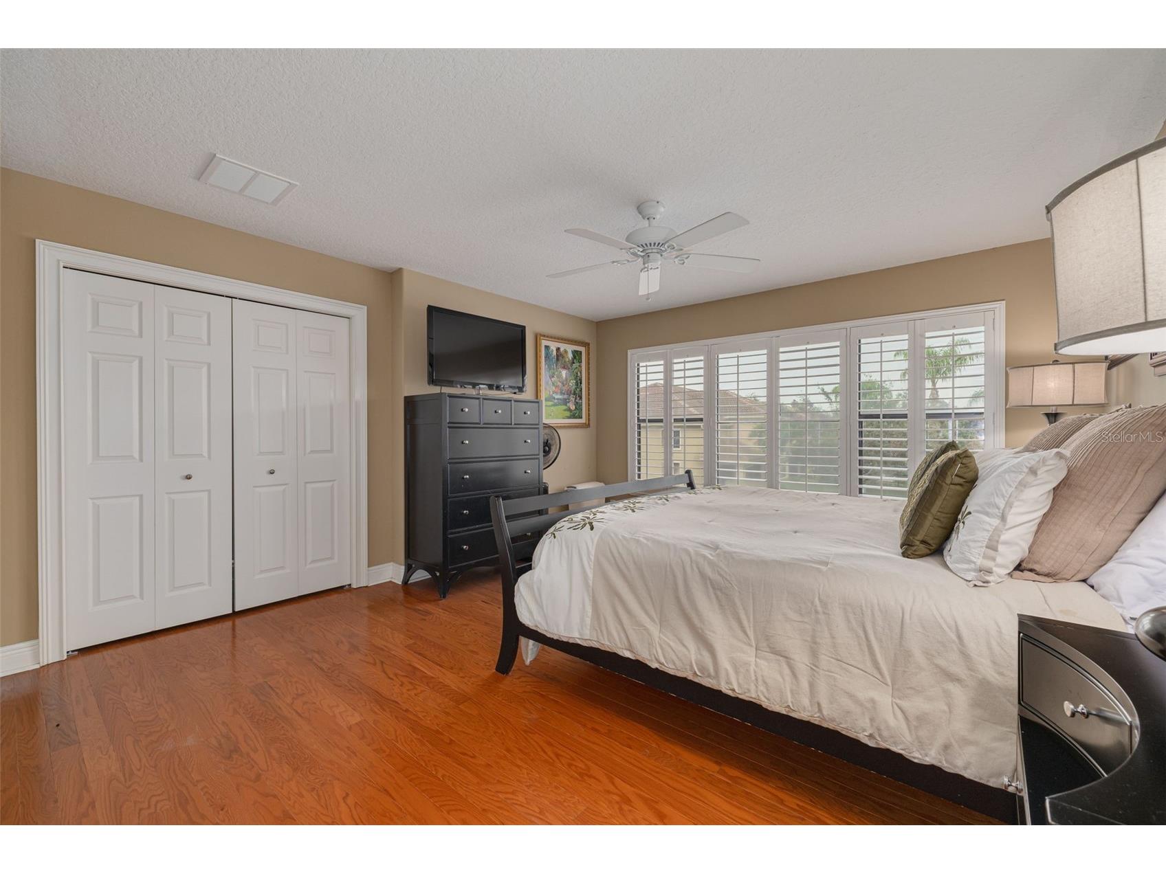 2567 Gloriosa Drive Palm Harbor FL 34684 TB8473040 image27