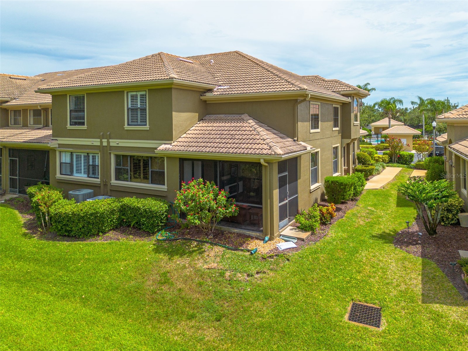 2567 Gloriosa Drive Palm Harbor FL 34684 TB8473040 image29