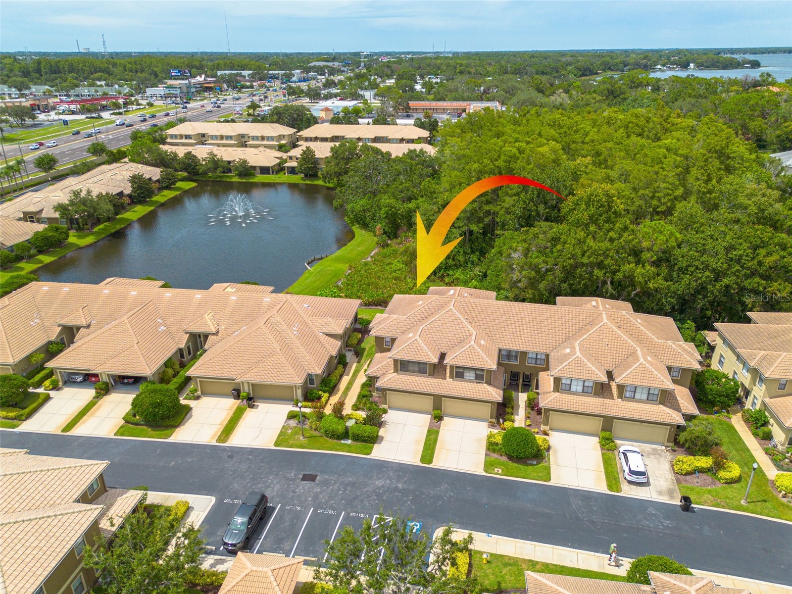 2567 Gloriosa Drive Palm Harbor FL 34684 TB8473040 image3