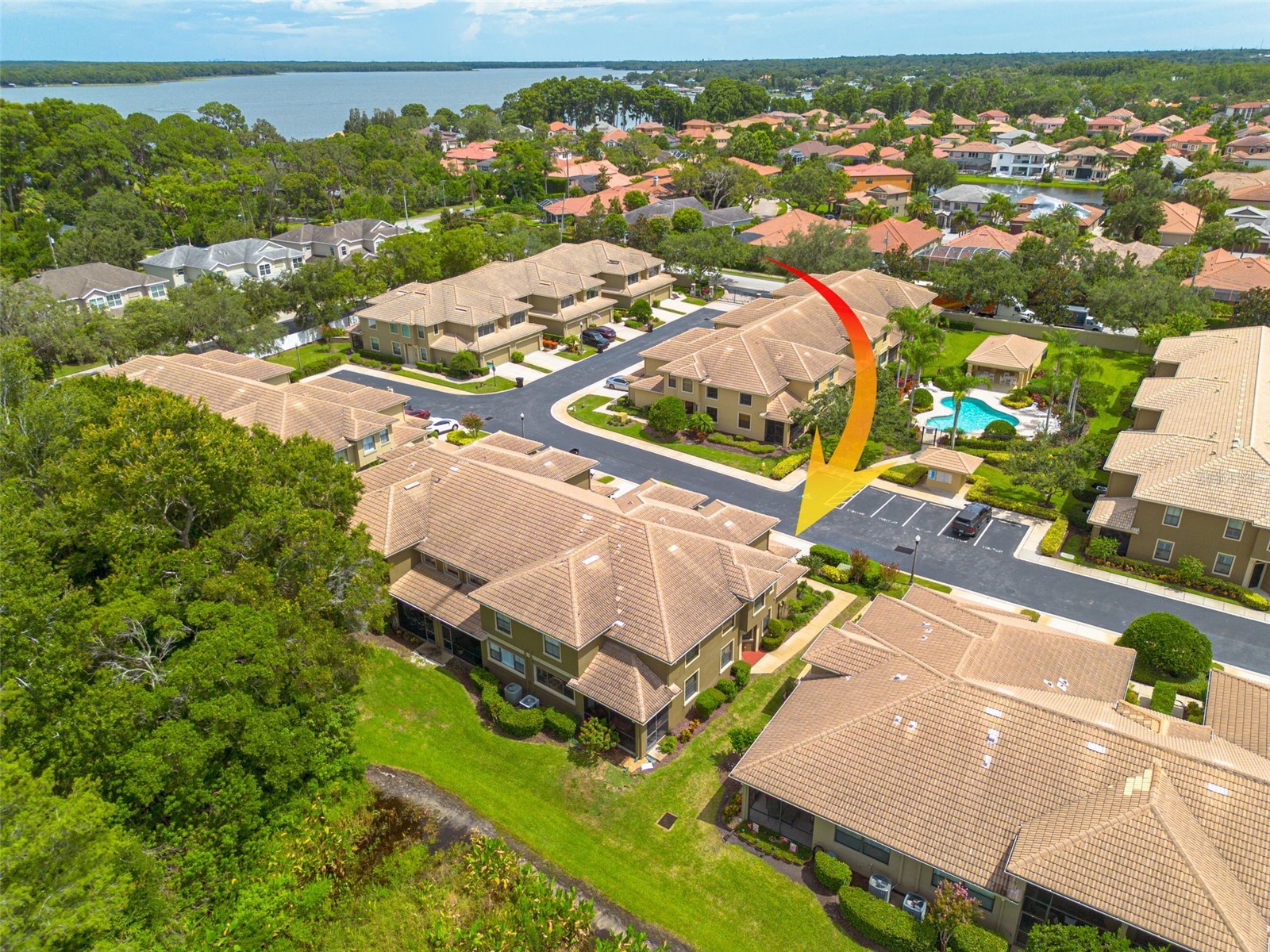 2567 Gloriosa Drive Palm Harbor FL 34684 TB8473040 image30