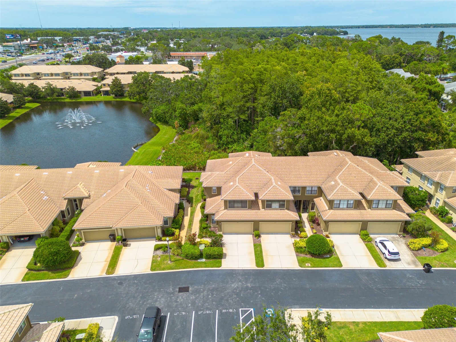 2567 Gloriosa Drive Palm Harbor FL 34684 TB8473040 image31