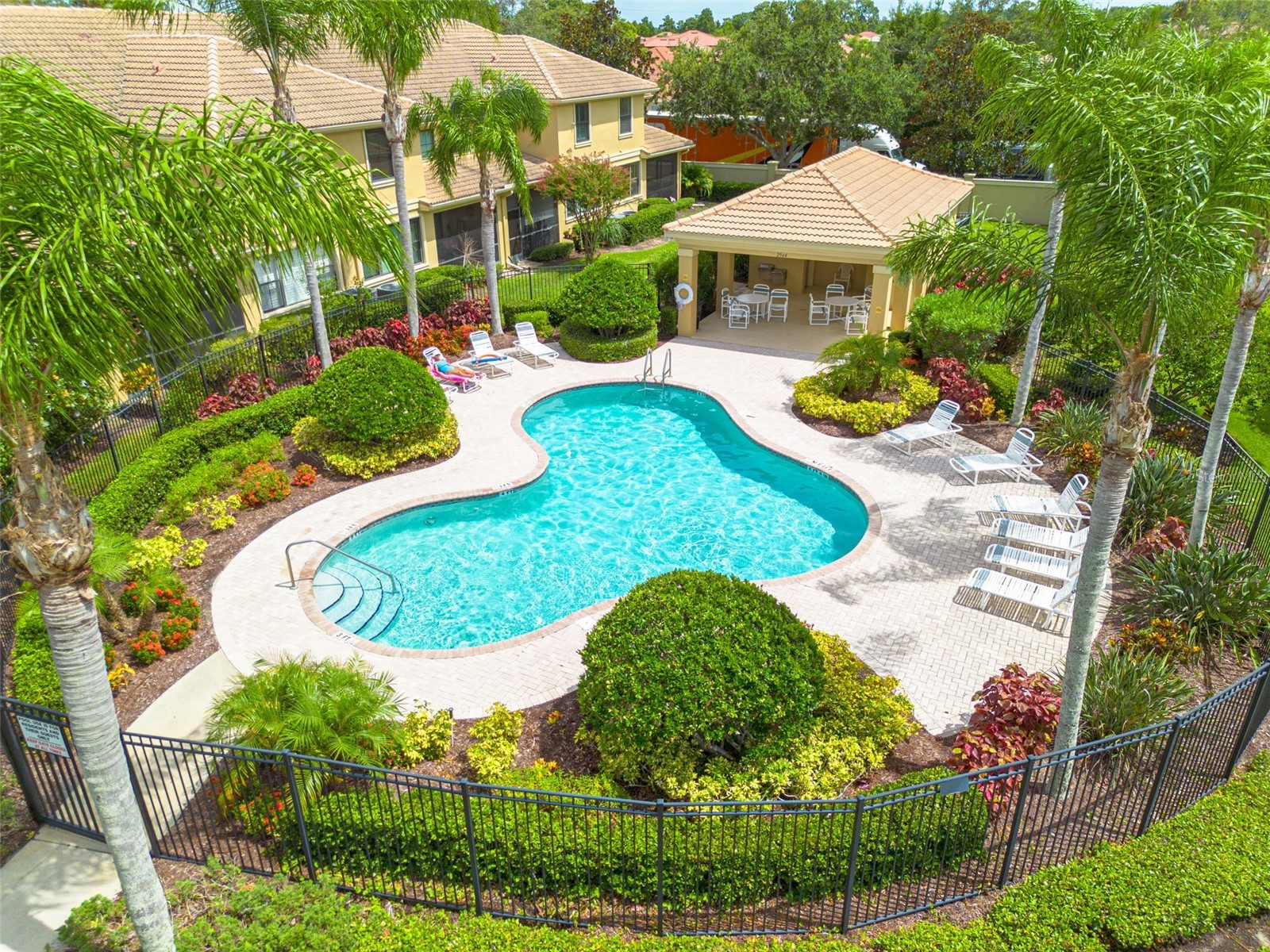 2567 Gloriosa Drive Palm Harbor FL 34684 TB8473040 image32