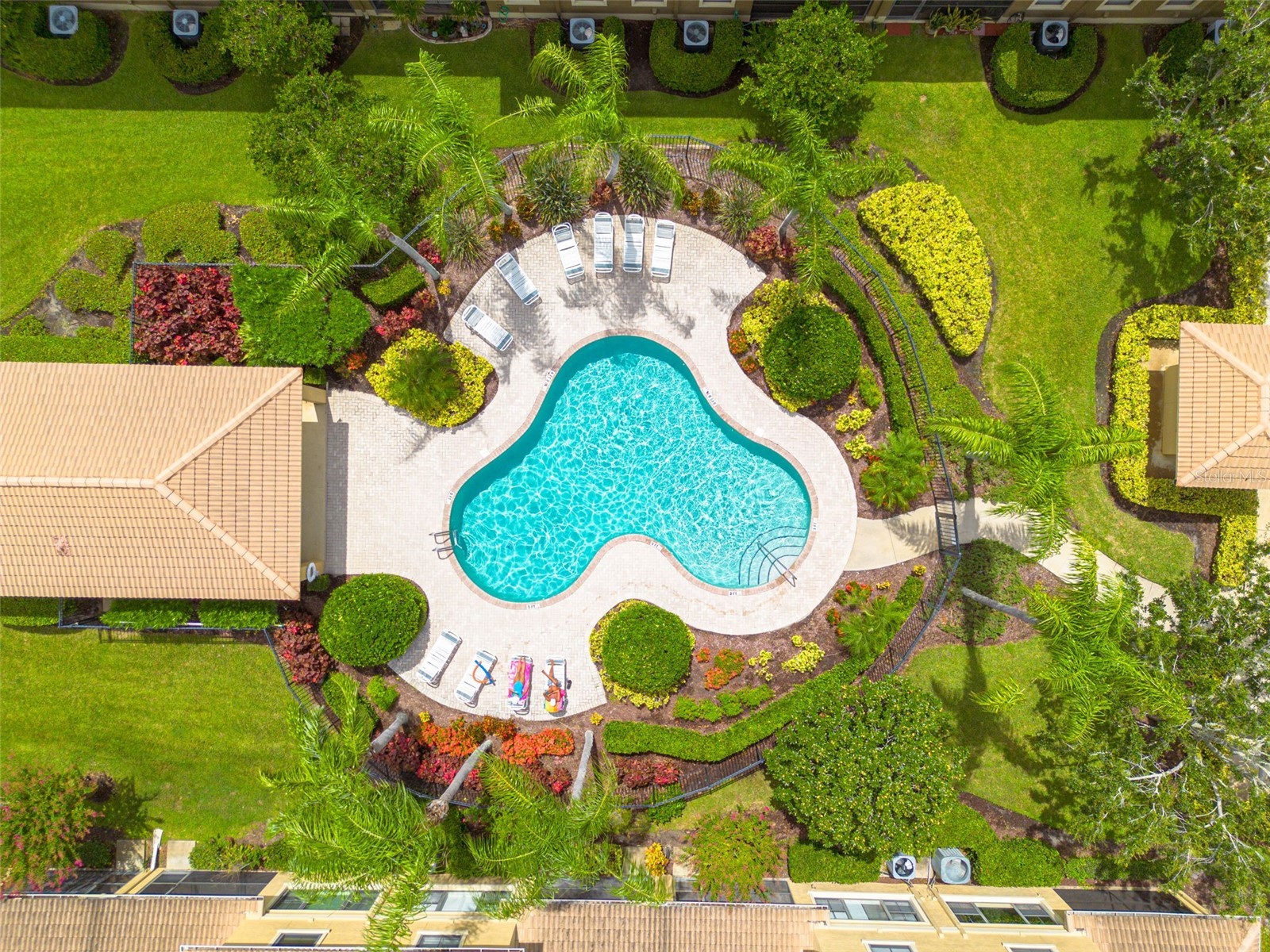 2567 Gloriosa Drive Palm Harbor FL 34684 TB8473040 image33