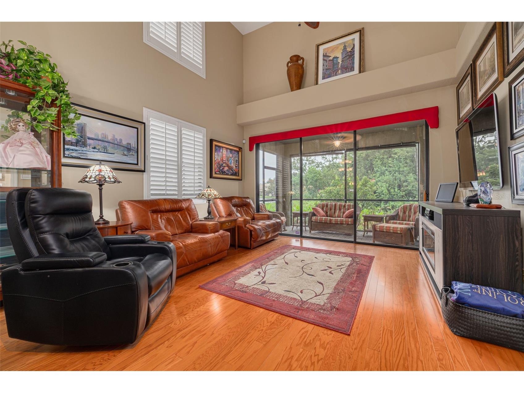 2567 Gloriosa Drive Palm Harbor FL 34684 TB8473040 image5