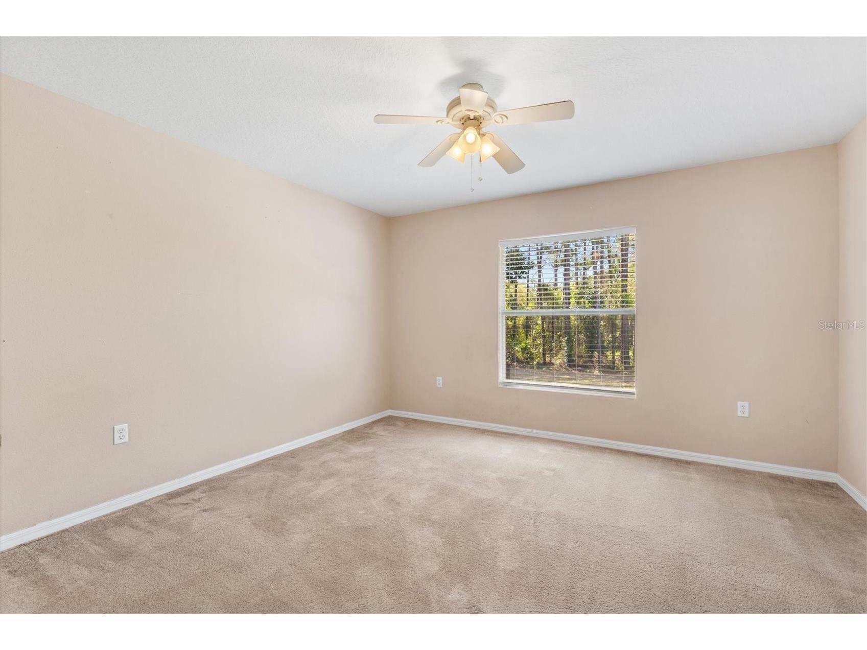 2567 N Stampede Drive Beverly Hills FL 34465 OM722691 image42