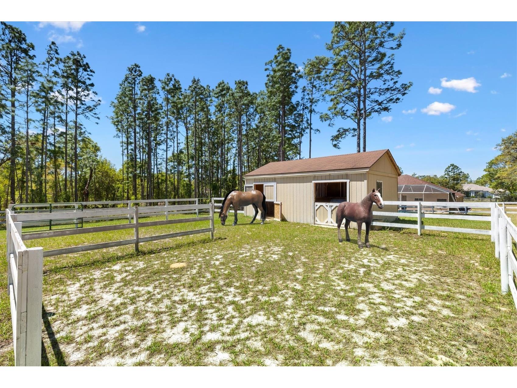 2567 N Stampede Drive Beverly Hills FL 34465 OM722691 image58
