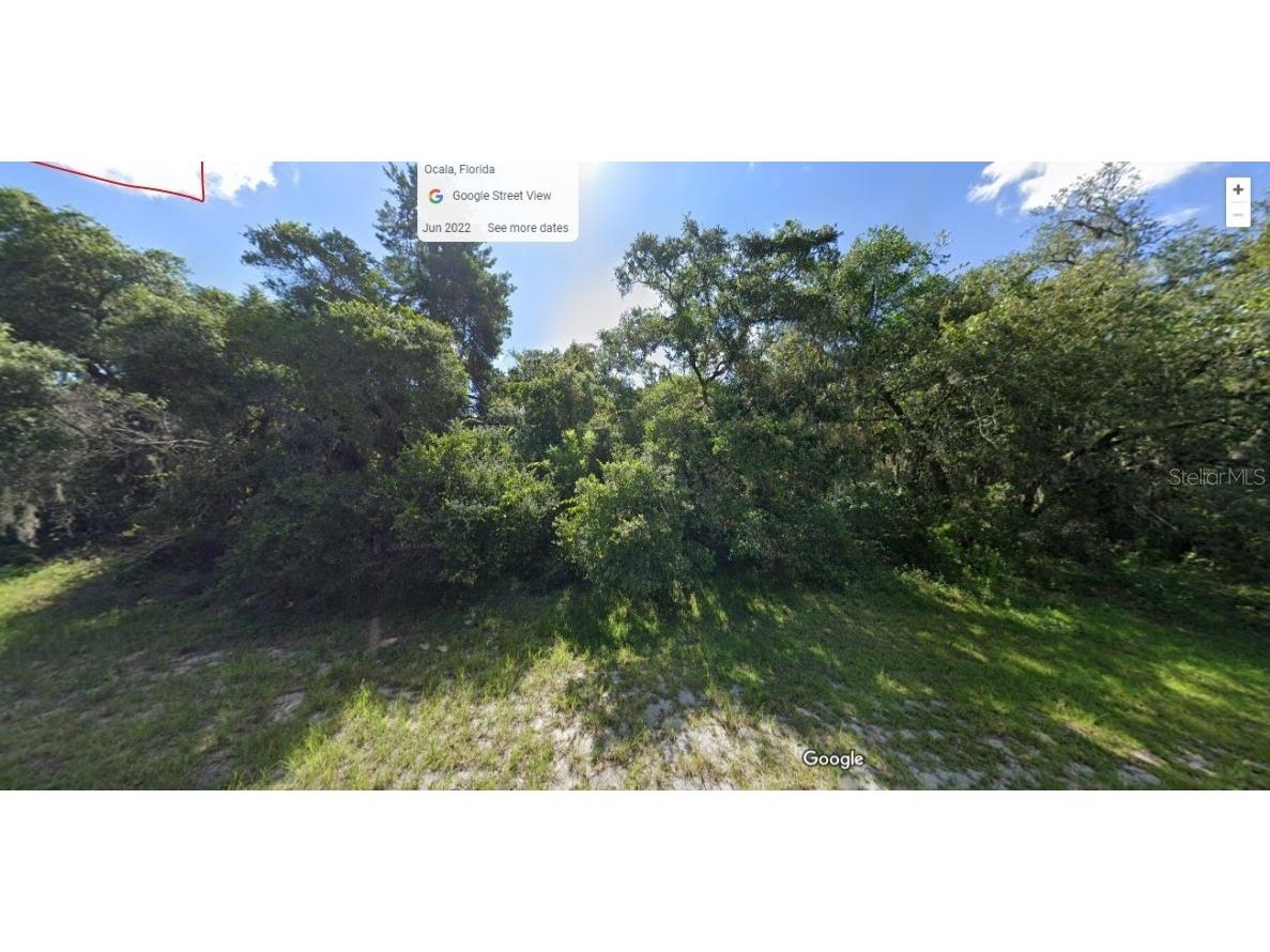 2567 SW 176th Loop Ocala FL 34473 OM649069 image1