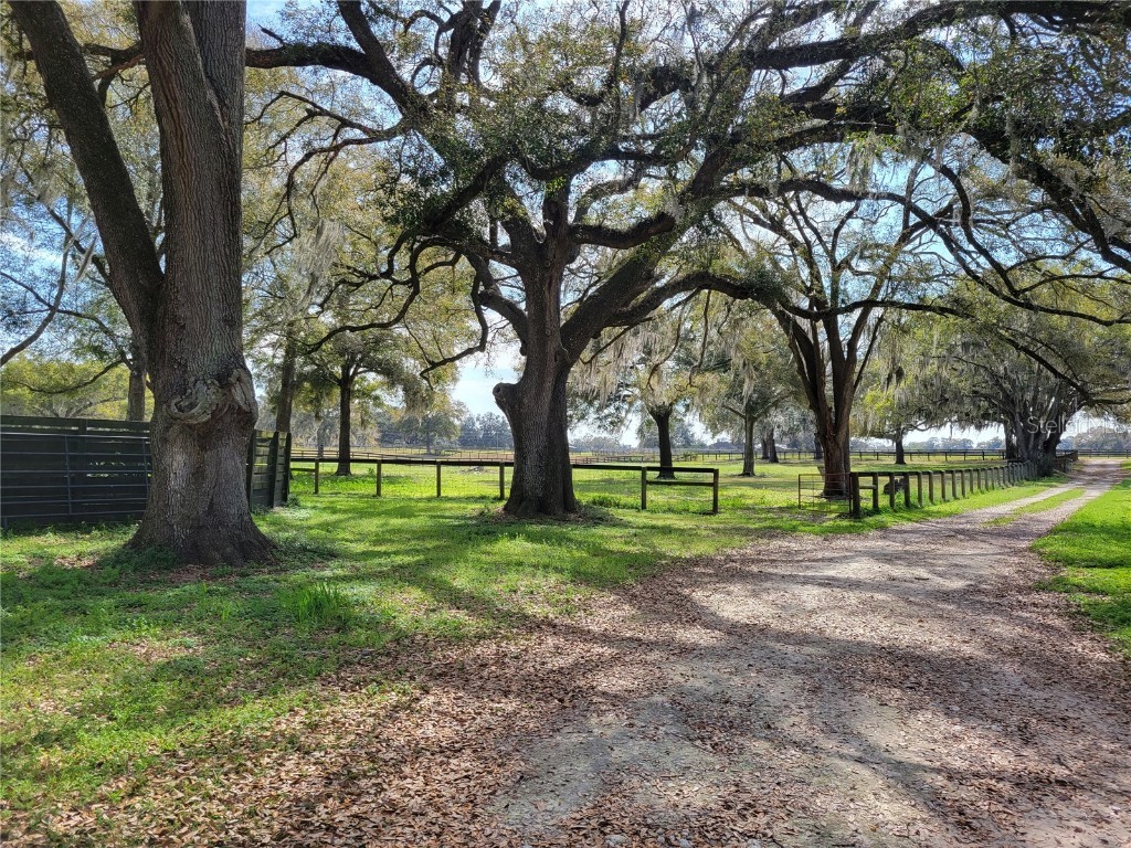 2567 SW 97th Place Ocala FL 34476 OM673015 image1