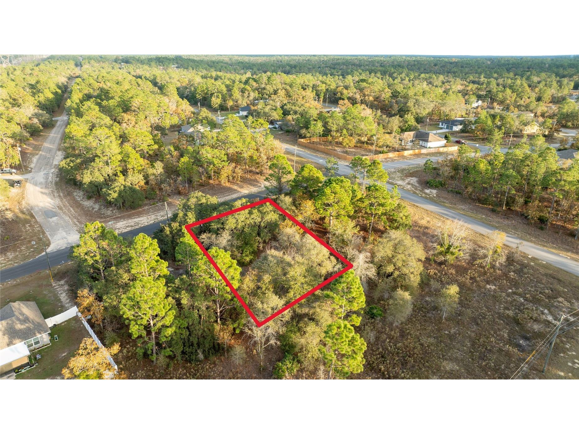 2567 W Wilmington Loop Citrus Springs FL 34434 OM714607 image1