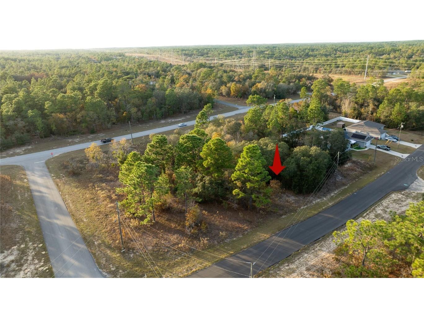 2567 W Wilmington Loop Citrus Springs FL 34434 OM714607 image10