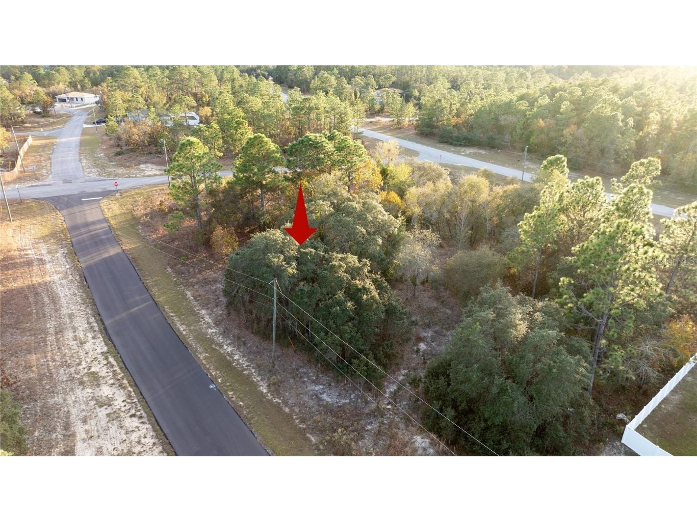 2567 W Wilmington Loop Citrus Springs FL 34434 OM714607 image11