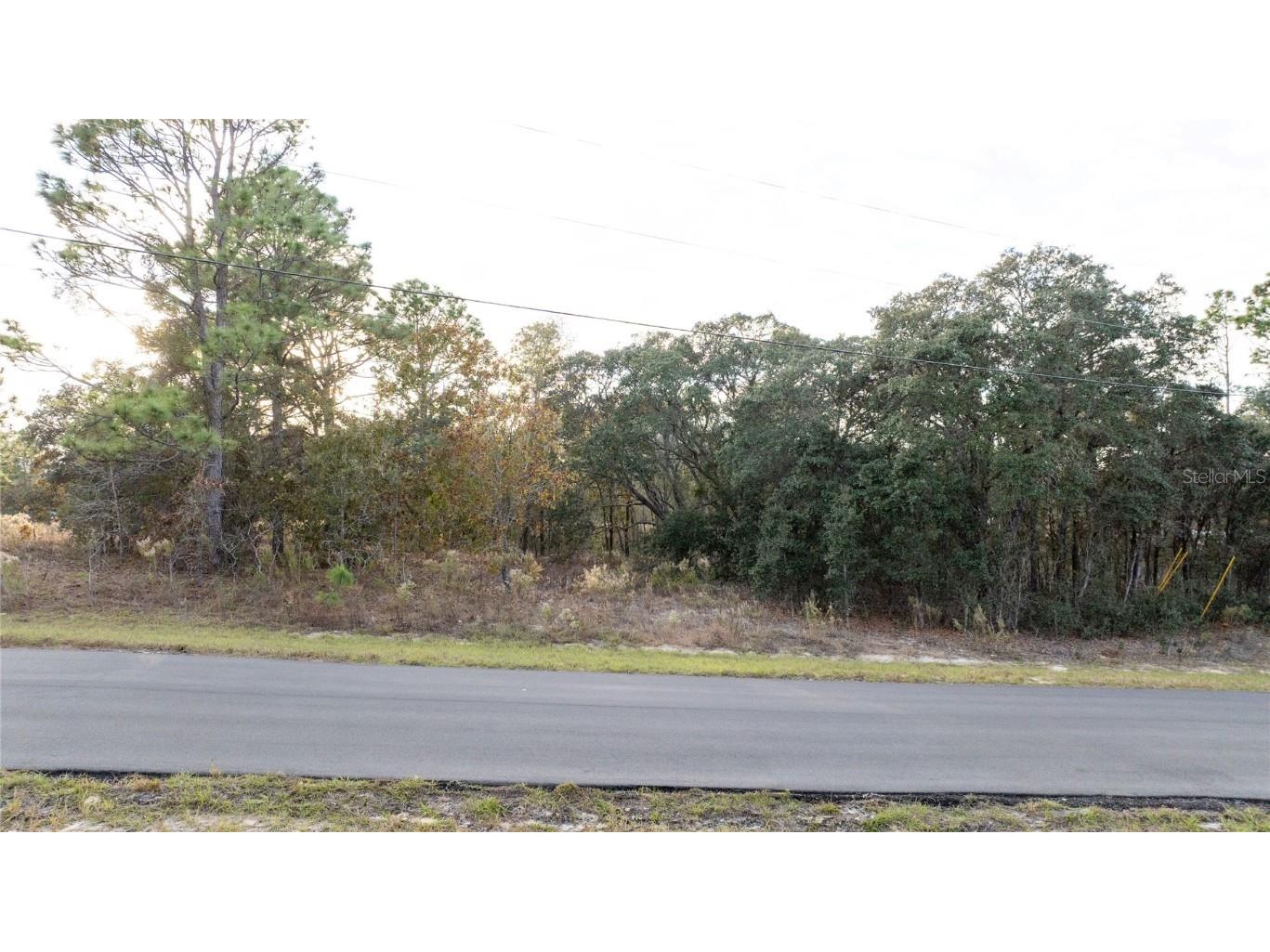 2567 W Wilmington Loop Citrus Springs FL 34434 OM714607 image12