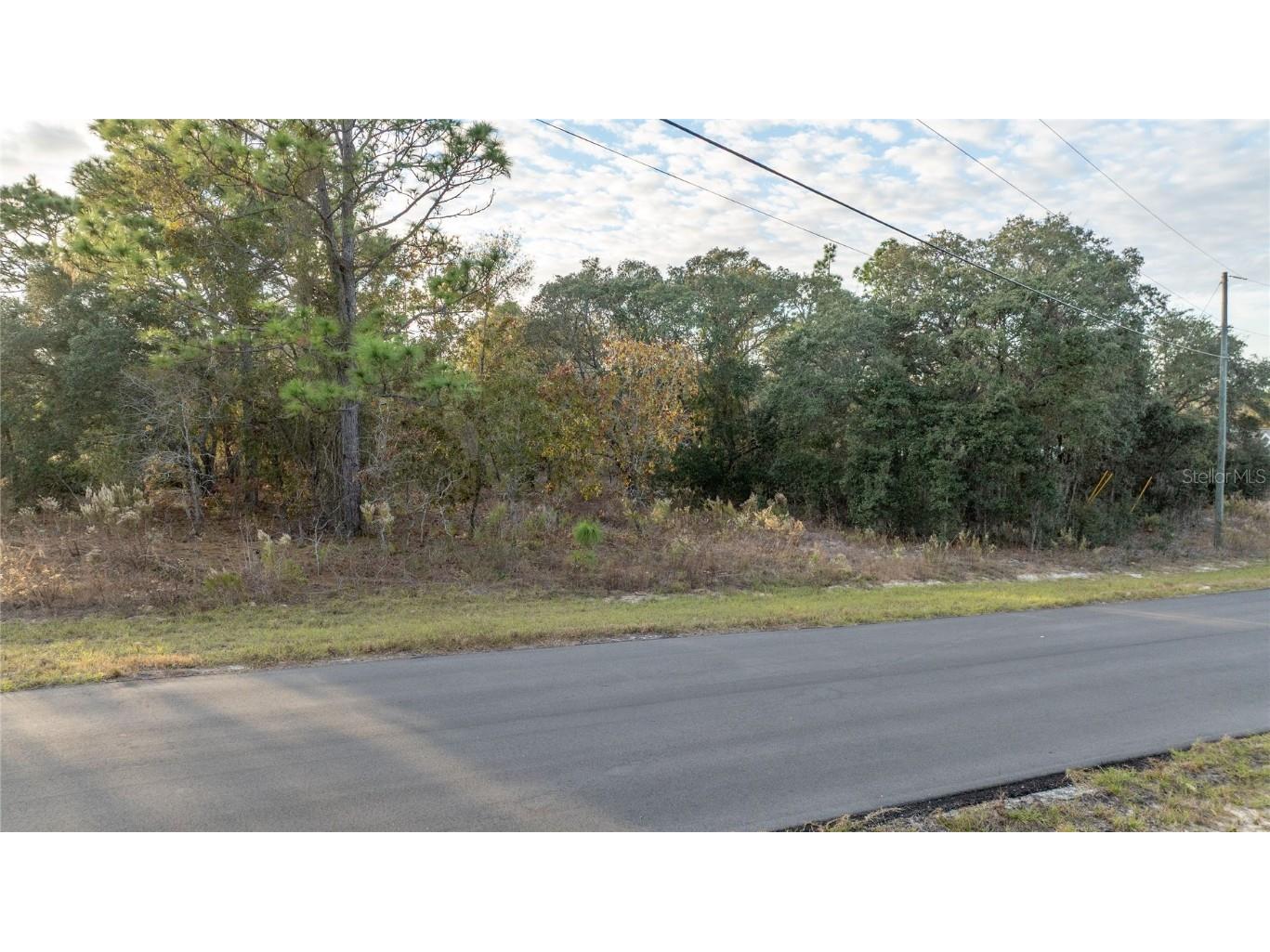 2567 W Wilmington Loop Citrus Springs FL 34434 OM714607 image13