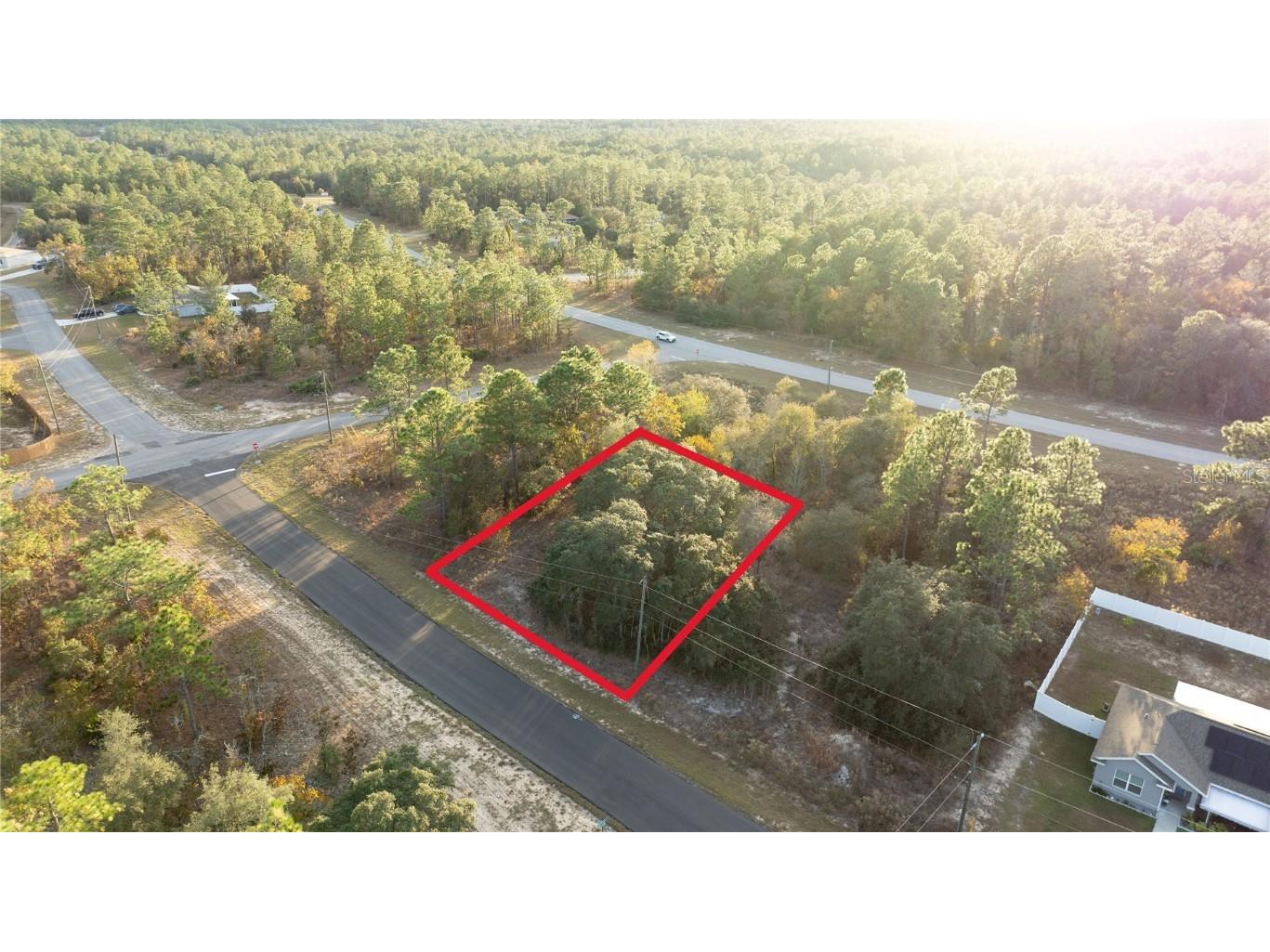 2567 W Wilmington Loop Citrus Springs FL 34434 OM714607 image2