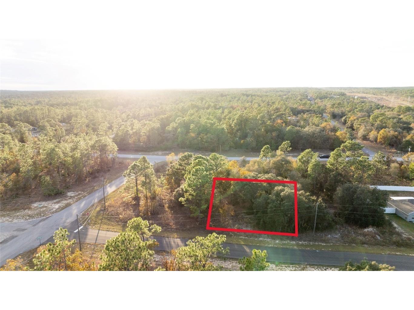 2567 W Wilmington Loop Citrus Springs FL 34434 OM714607 image5