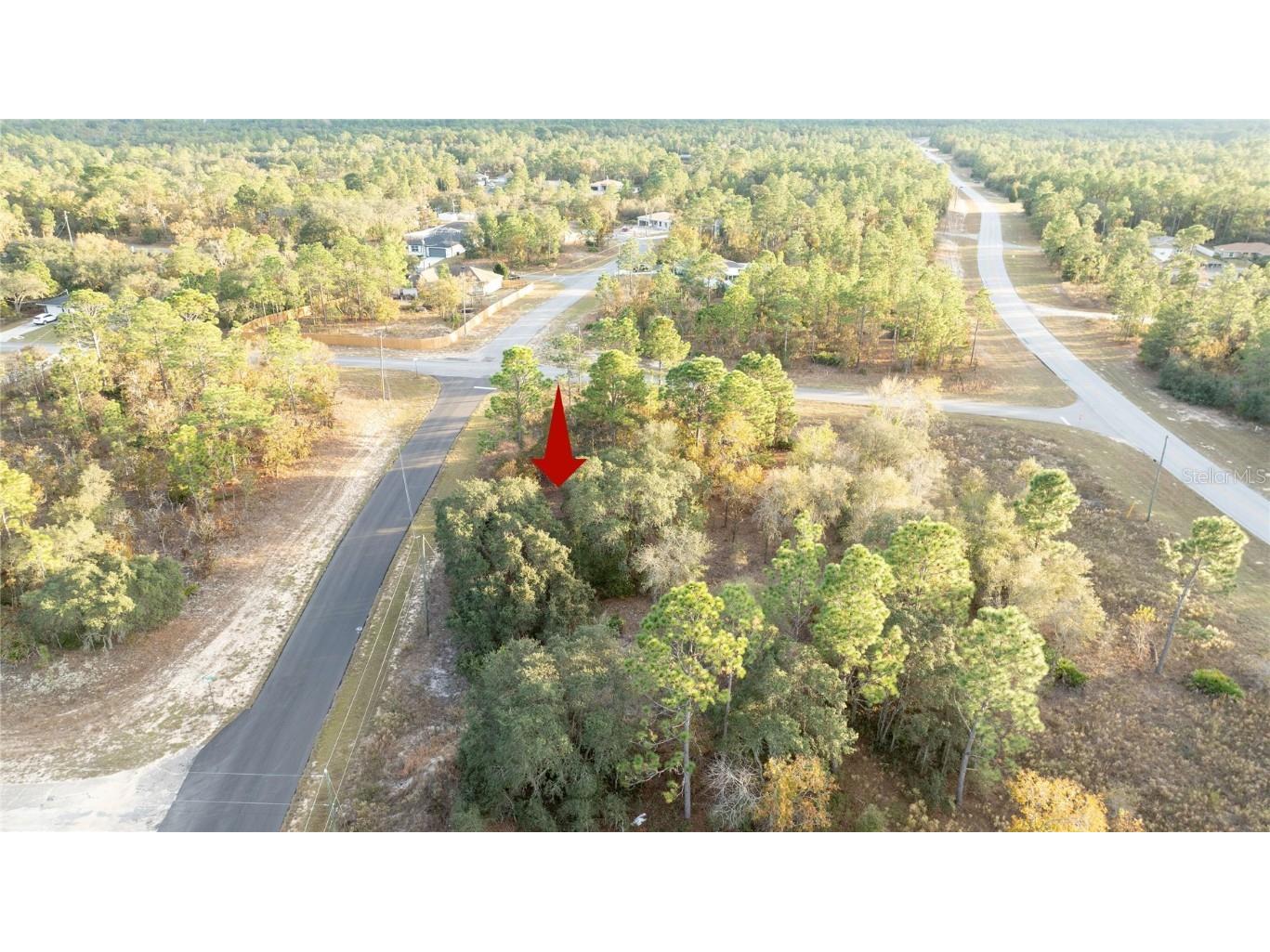 2567 W Wilmington Loop Citrus Springs FL 34434 OM714607 image6