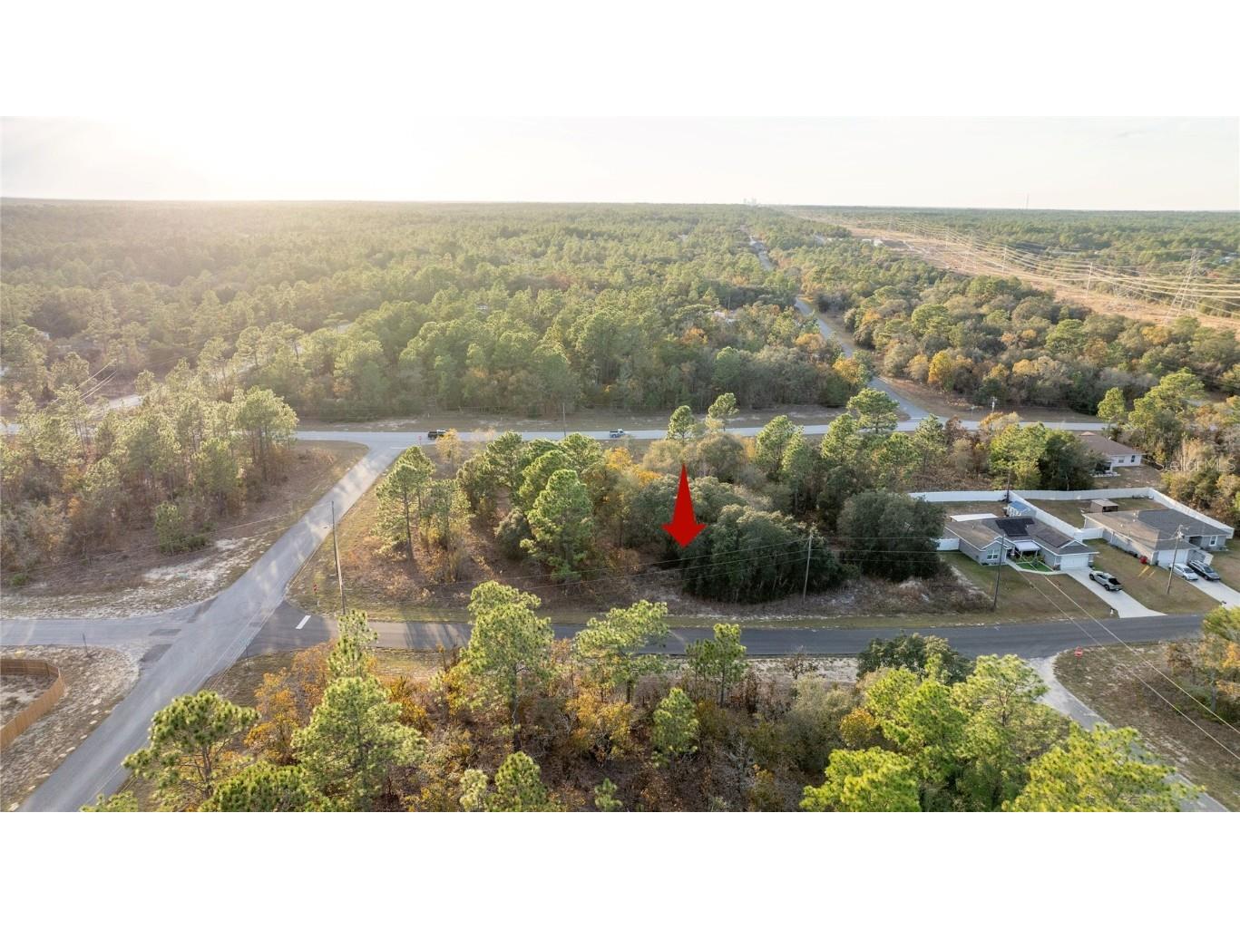 2567 W Wilmington Loop Citrus Springs FL 34434 OM714607 image8