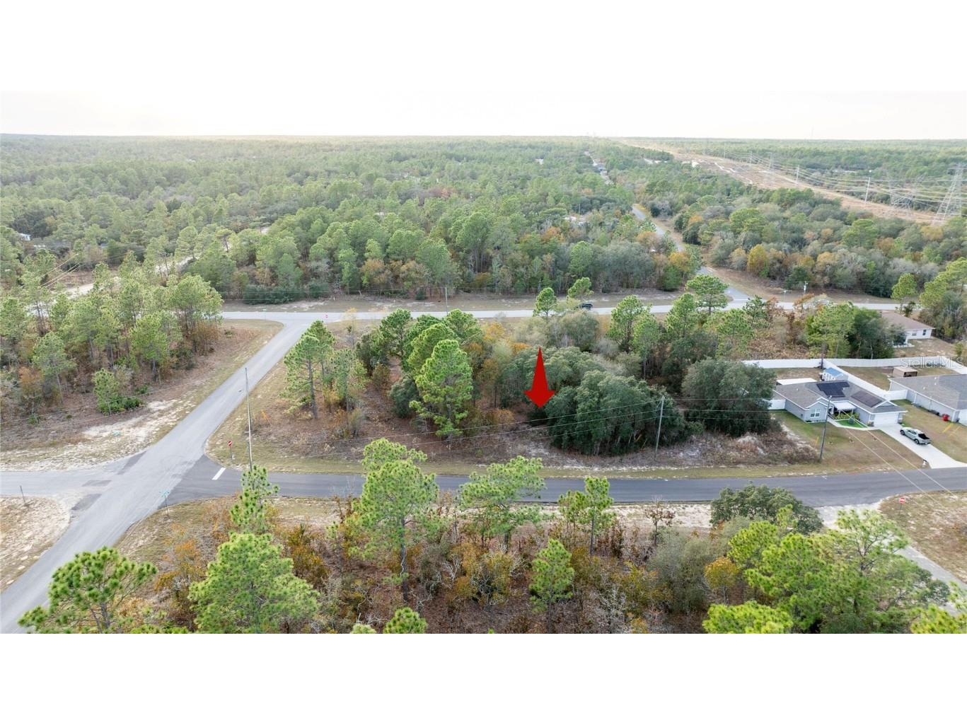 2567 W Wilmington Loop Citrus Springs FL 34434 OM714607 image9