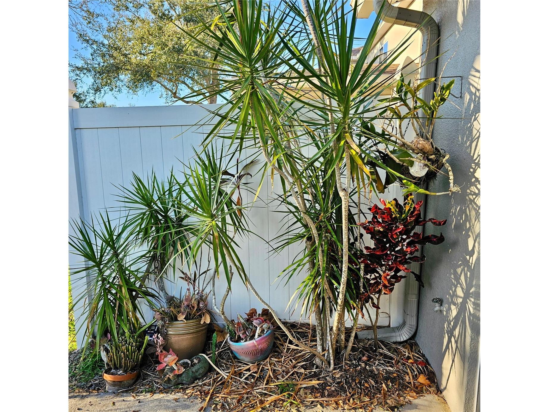 2568 Aventurine Street Kissimmee FL 34744 O6365441 image36