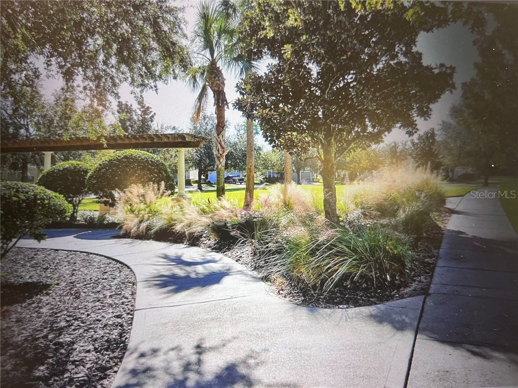 2568 Maneshaw Lane Kissimmee FL 34747 S5139565 image22