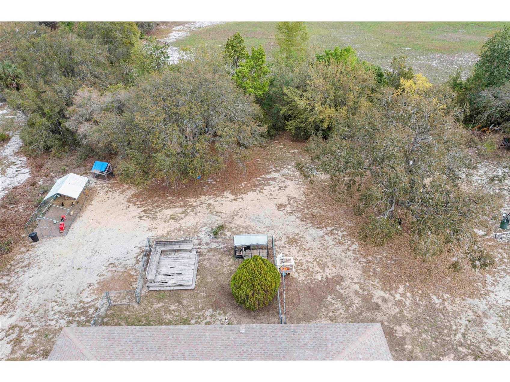 2569 Cedarwood Drive Lake Wales FL 33898 P4938202 image29