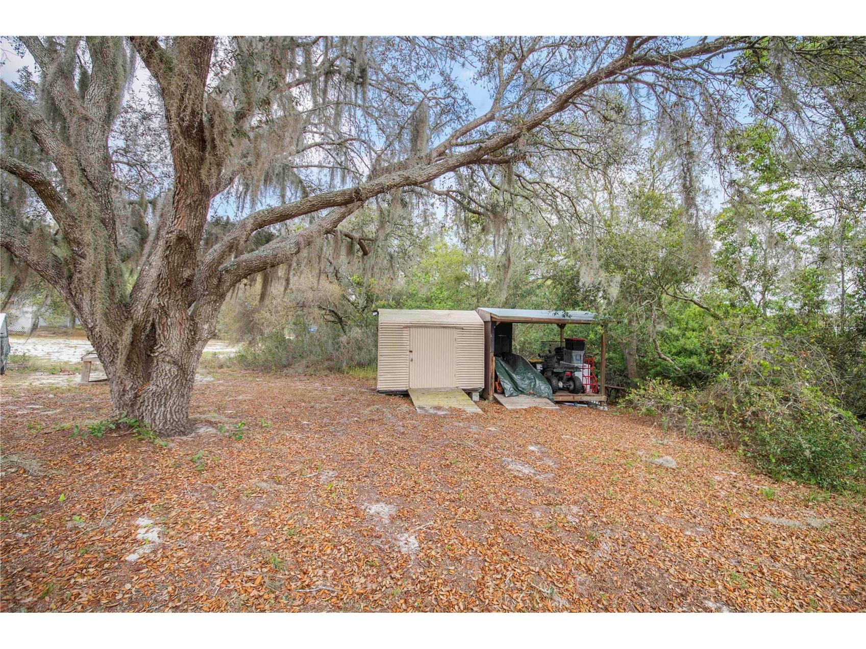 2569 Cedarwood Drive Lake Wales FL 33898 P4938202 image34