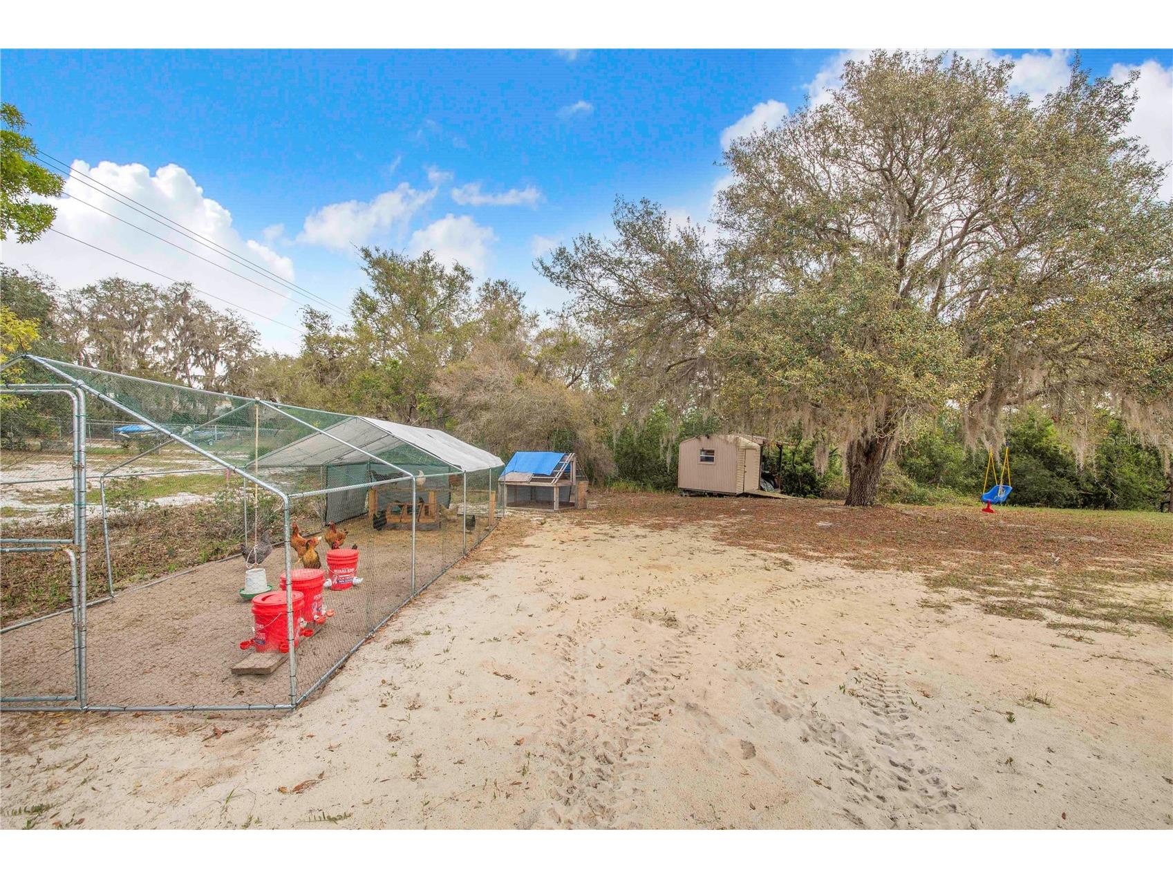 2569 Cedarwood Drive Lake Wales FL 33898 P4938202 image36