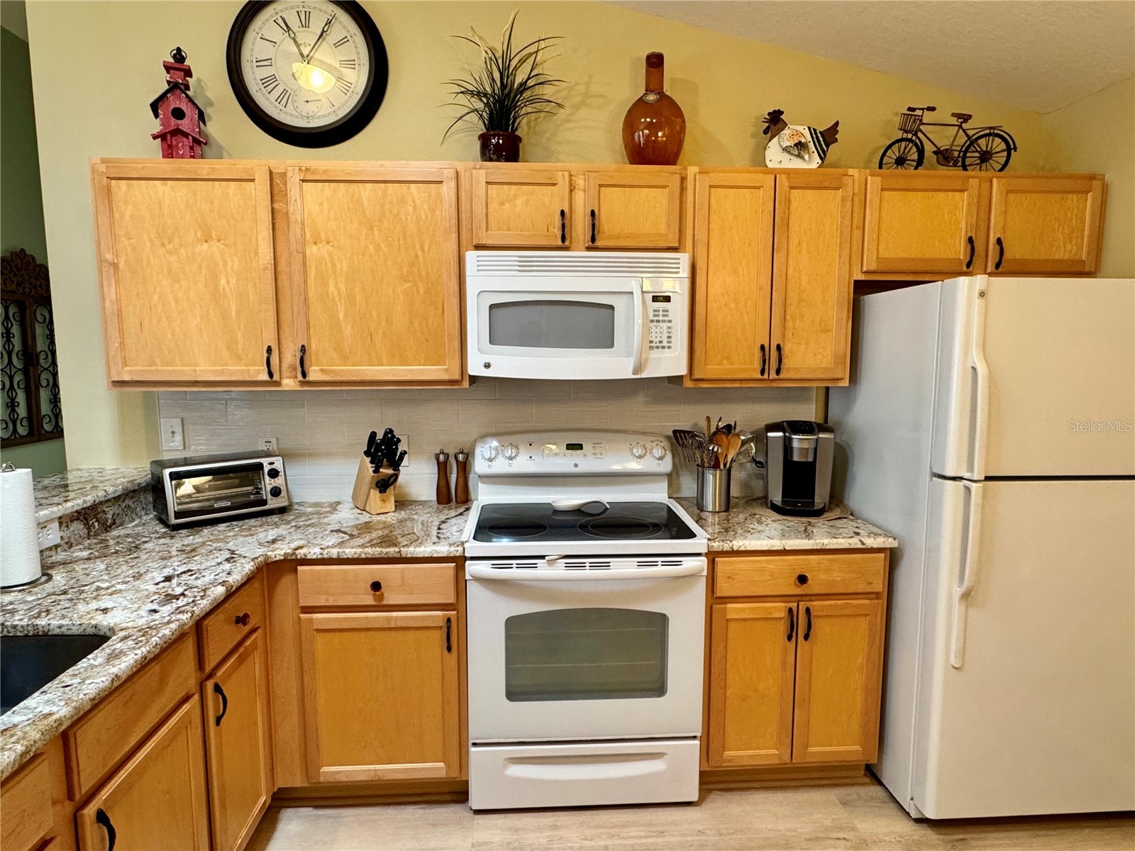 2569 Errol Terrace The Villages FL 32162 G5108526 image11