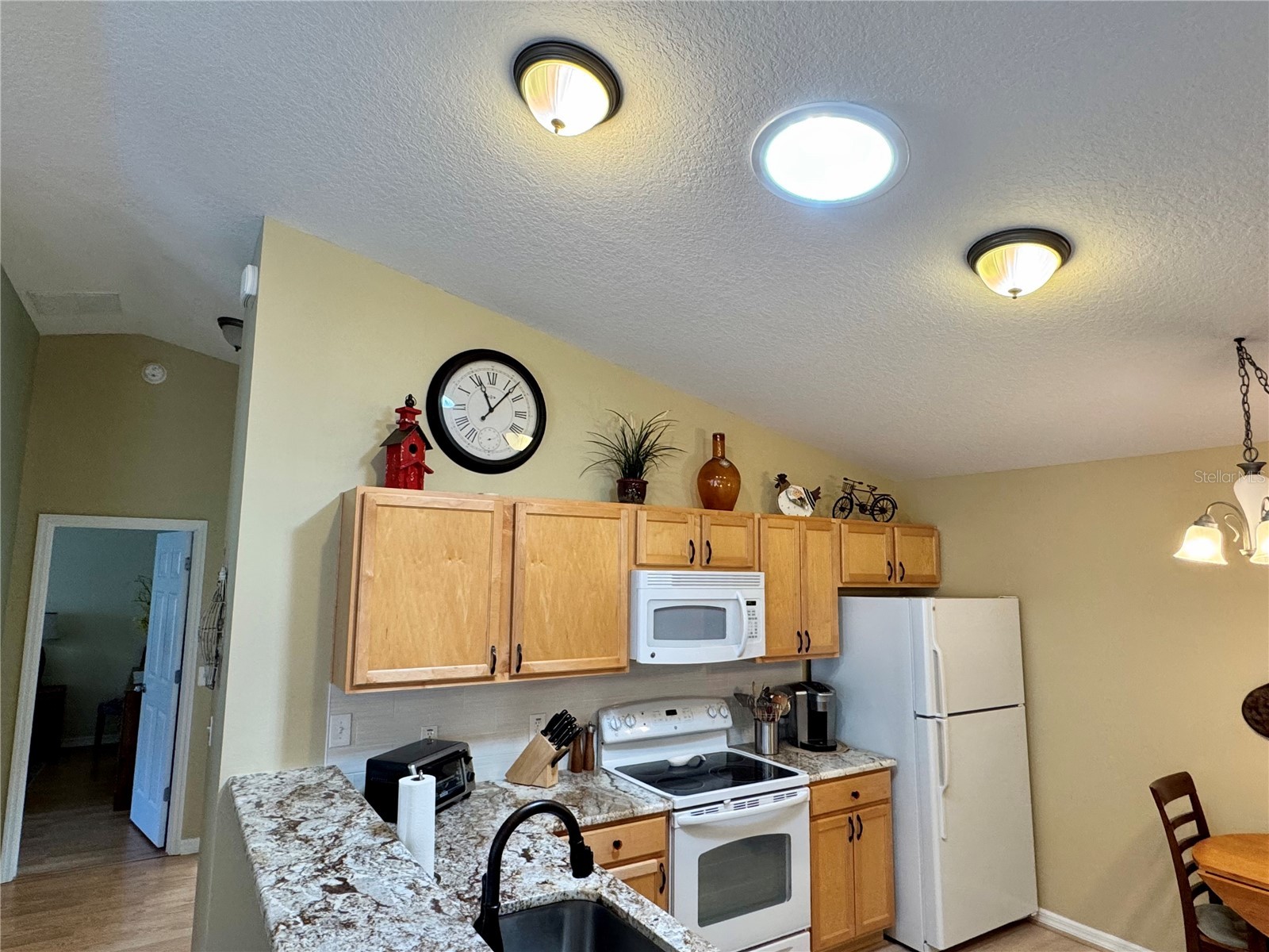 2569 Errol Terrace The Villages FL 32162 G5108526 image16