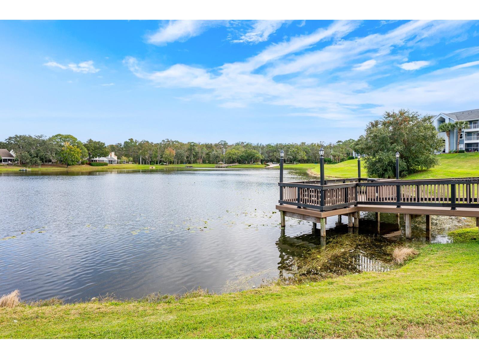 2569 Grassy Point Drive #207 Lake Mary FL 32746 - Greenwood Lake O6386360 image17