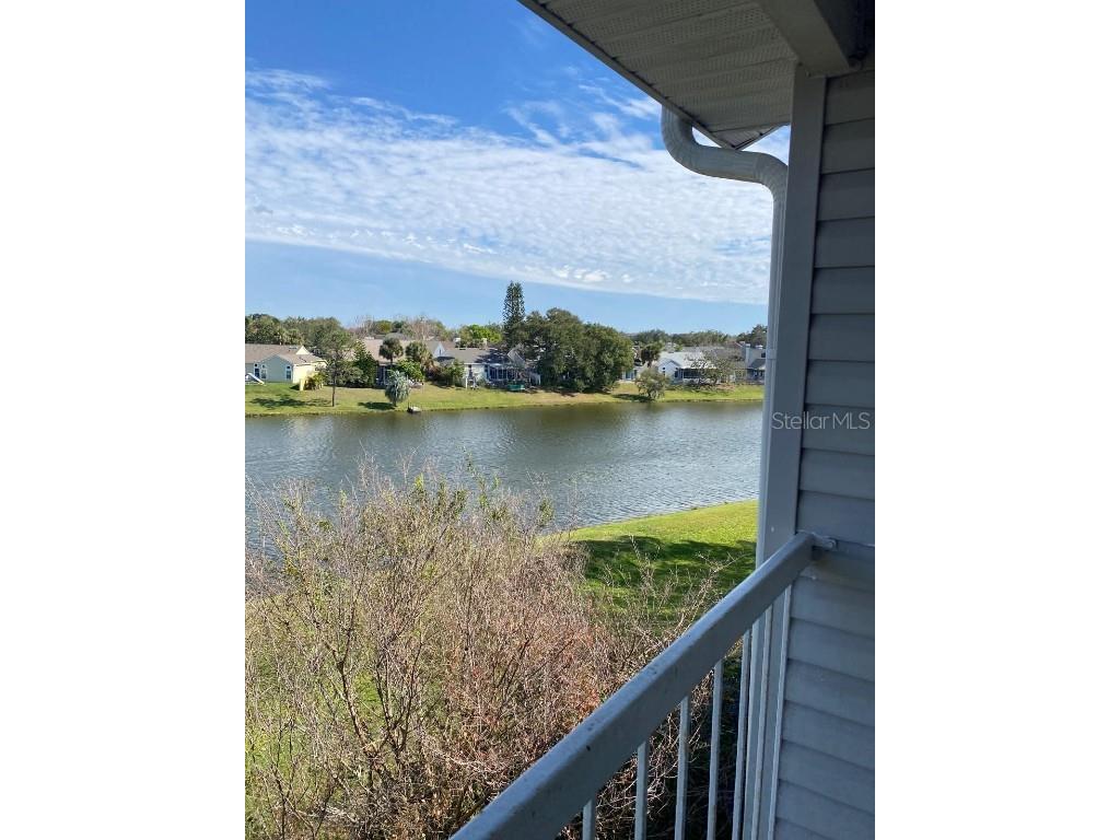 2569 Grassy Point Drive #313 Lake Mary FL 32746 O6365876 image12