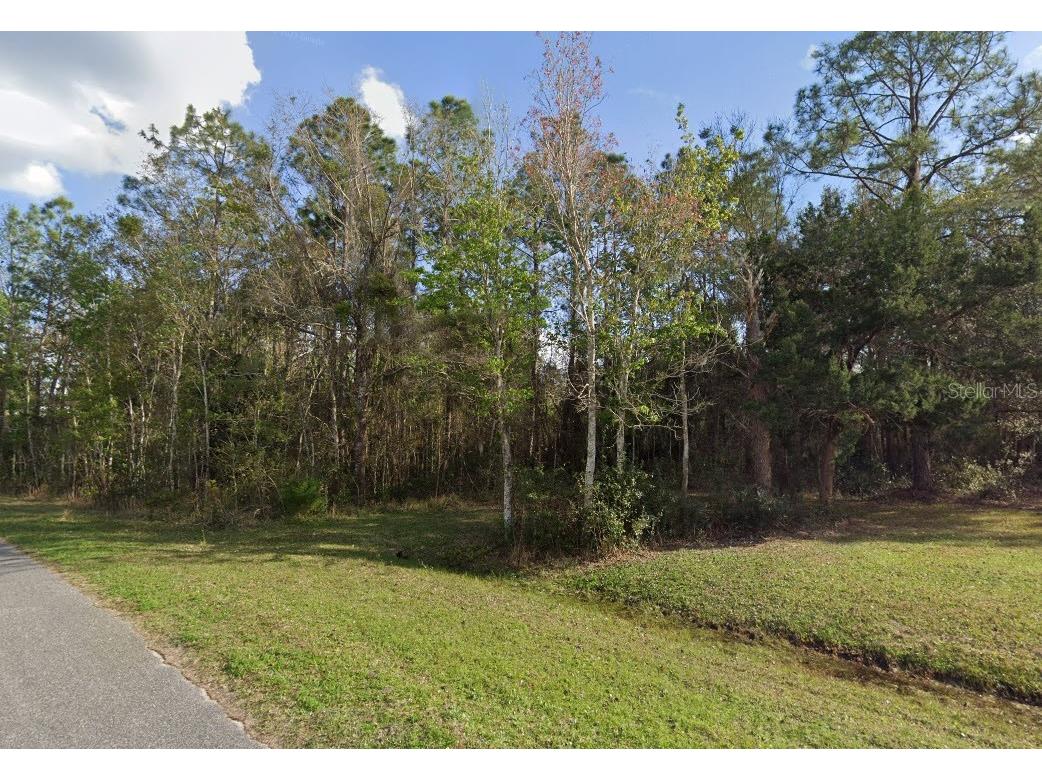 257 Harbor Drive Palatka FL 32177 NS1082676 image1