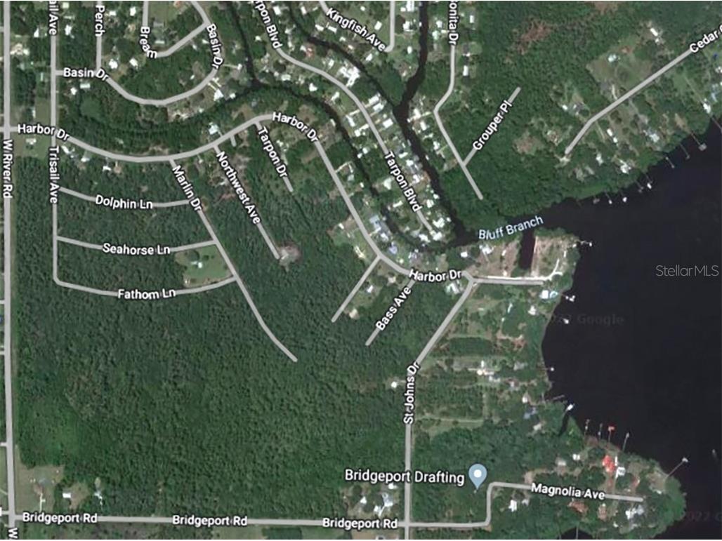 257 Harbor Drive Palatka FL 32177 NS1082676 image3
